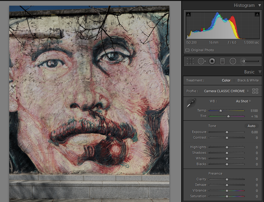 Auto Tone Before.PNG